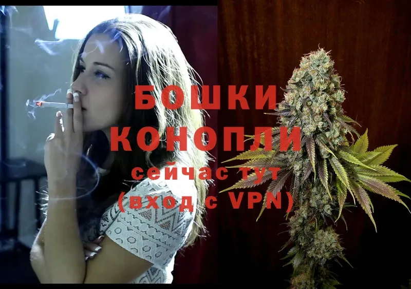 цены   Белокуриха  Канабис OG Kush 